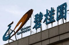 碧桂園地產在寬限期內順