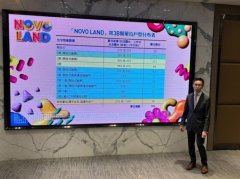 香港新地NOVOLAND 3B期預告下