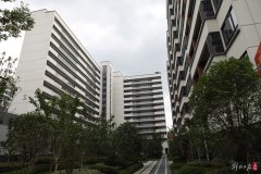 上海閔行七寶一市級大型