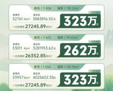 南京開發(fā)商降價80萬賣房！