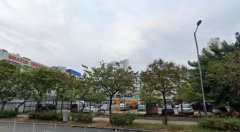沙田小瀝源住宅地塊今招