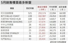 香港撒辣后新盤售出樓面