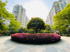 南京本土知名開發商暴雷