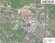 深圳光明維他奶片區(qū)地塊