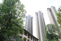 廣州黃埔蘿峰回遷安置房