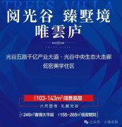 武漢光谷中心城投綠城雲