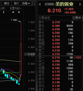上市房企美的置業宣布剝
