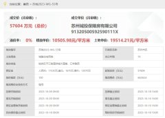 蘇州姑蘇區城投純新盤擬