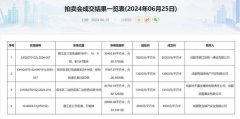 成都今日土拍結(jié)果出爐 三