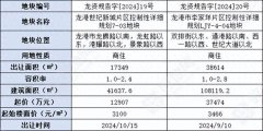 溫州龍港市集中掛牌2幅商