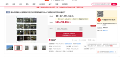 清遠美吉特華南裝飾城商