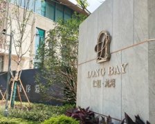 南京江寧純新豪宅仁恒龍