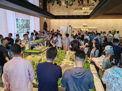 香港啟德柏蔚森I計劃短期