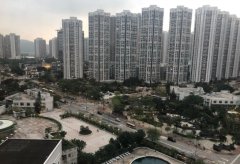 香港新界藍籌屋苑再現“