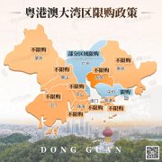 大灣區(qū)9城交出樓市年中成