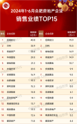 上半年合肥房企TOP15銷售業