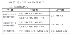 重慶渝開發(fā)集團上半年預(yù)
