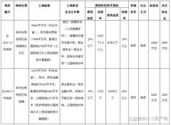 泉州臺商區洛陽鎮2宗地塊