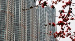 世邦魏理仕：香港房價全