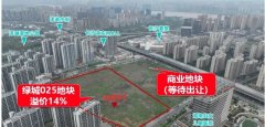 長沙河西新盤綠城洋湖項