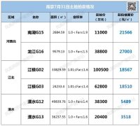 南京新一輪土拍活動(dòng)將于