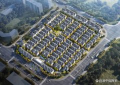 義烏王斗東側低密新盤規