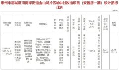 惠州惠城區(qū)金山湖城改安
