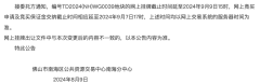 大瀝舊城南市場臨拍前延