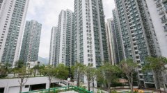 市場憧憬減息 沙田第一城
