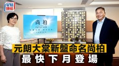 元朗大棠新盤命名尚柏 最