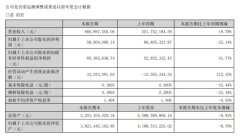 上海新陽涂料業務持續下