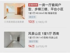 東莞房價驟降 演繹“鶴崗