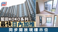 藍田KOKO系列最快日內加推