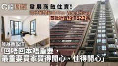 灣仔單幢新盤One Wood Road