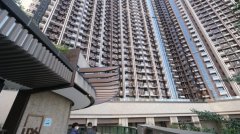 日出康城LP6首8個月錄62宗