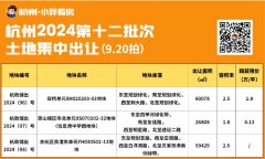 杭州2024年第十二批土拍掛