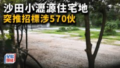 沙田小瀝源住宅地 突推招