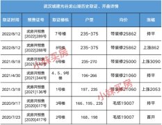 武漢城建·光谷龍山湖帶裝