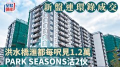 新盤連環錄成交 洪水橋滙