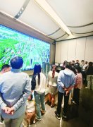 深圳房地產市場新機遇：