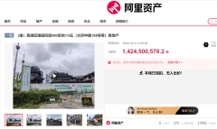 上海豫園商圈一商廈流拍