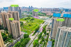 桂城石肯鋼鐵市場南側地