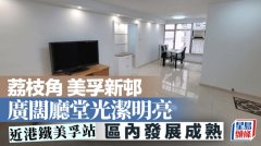 荔枝角美孚新邨 廣闊廳堂