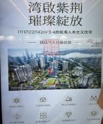 前海新樓盤上市：深圳置