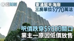 東涌藍天海岸三房770萬沽