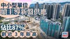 中小型單位續(xù)主導(dǎo)新盤供