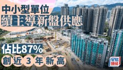 中小型單位續(xù)主導新盤供