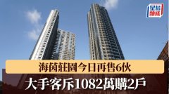 海茵莊園今日再售6伙 大手