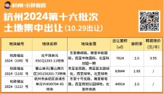 杭州最后一批限價地成功