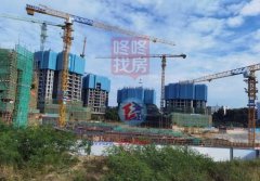 遠洋城：平湖新星樓盤的